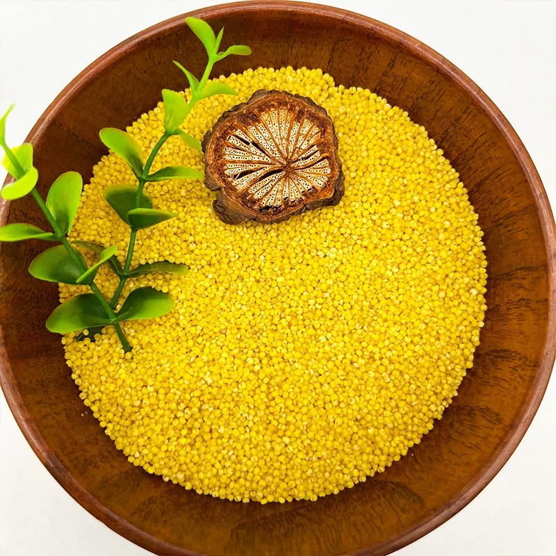 China origin Low Price bulk hulled yellow pearl millet Organic Yellow Millet for porridge