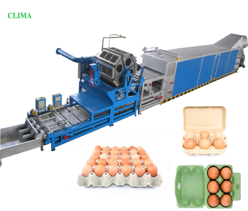 Automatic egg tray and egg box making machine production line cheap products for small business paper box machine