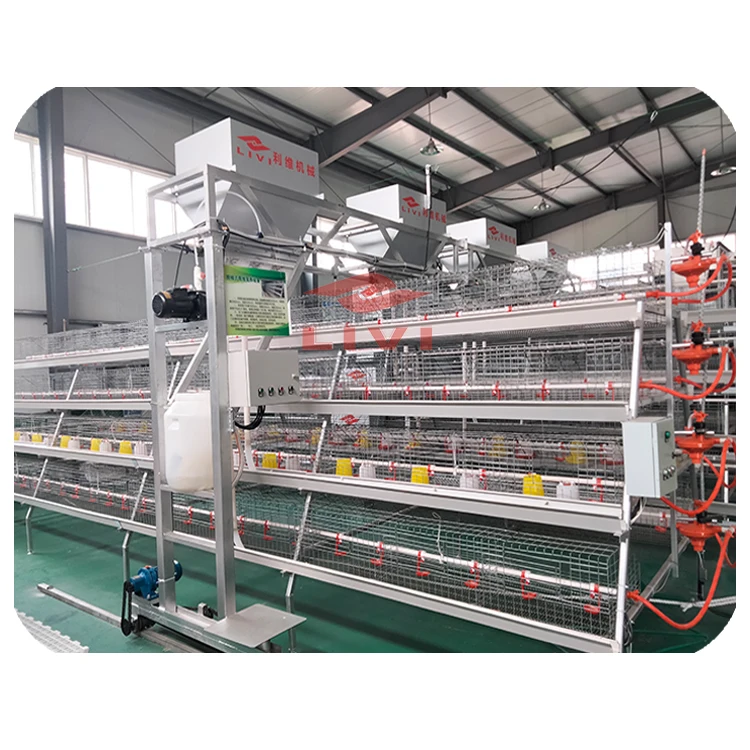 Popular Industrial Hot Galvanized 4 Tier A Type pullet cages Battery baby Layer Chicken Shed Cage For Reasonable Price