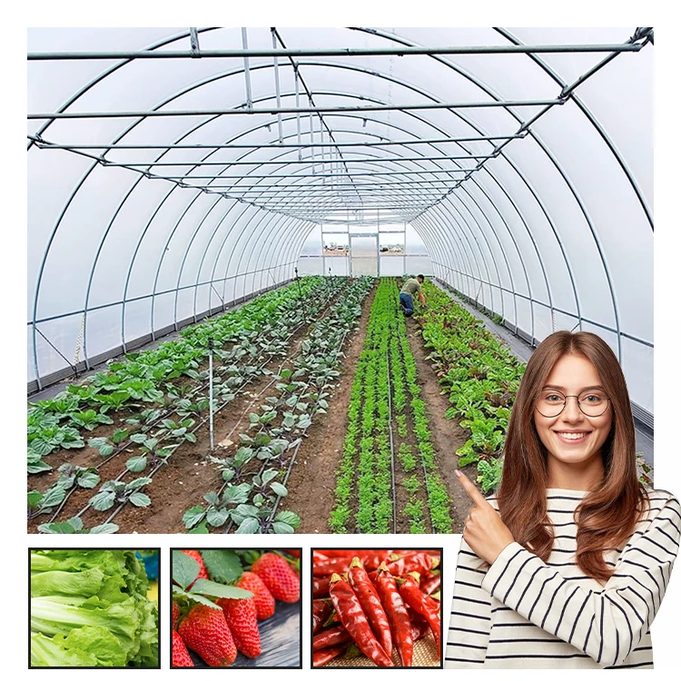 manufacturing orangery cooling system house metal frame film smart tomato vegetables growing cheap agricultural greenhouse