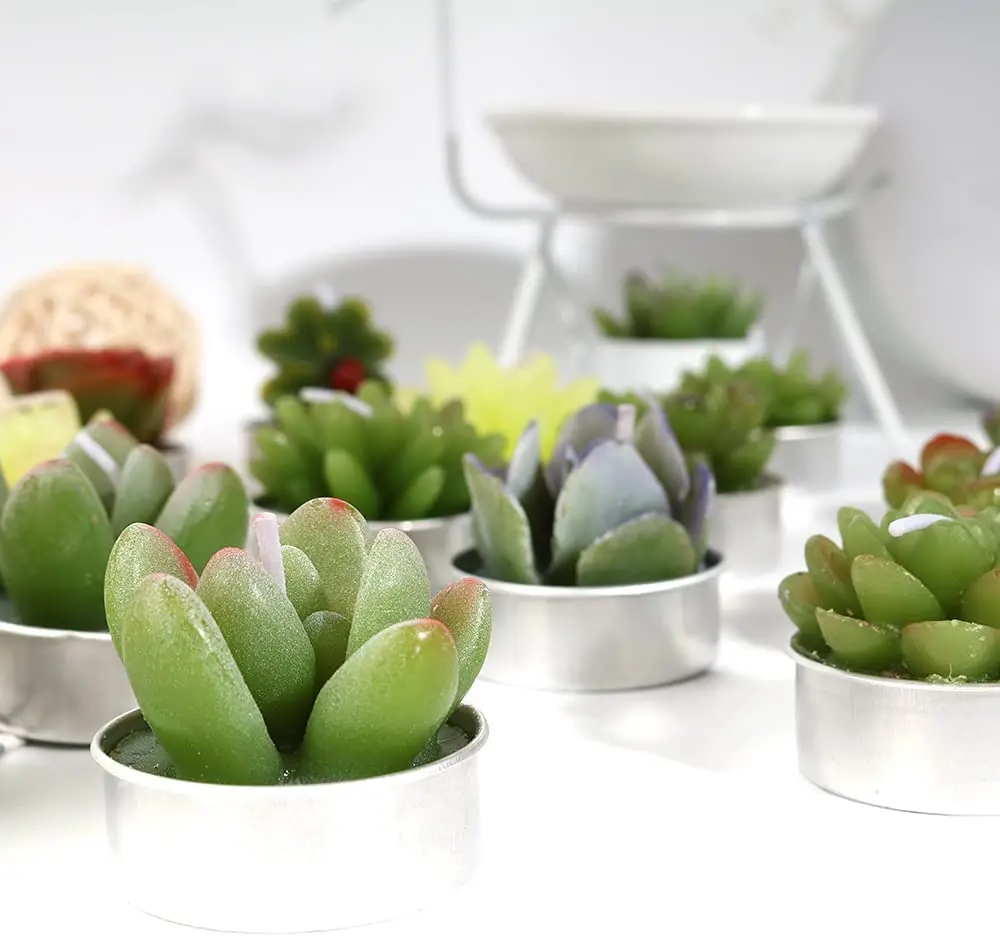 Cactus Tea lights Candle Delicate Succulent Tealight Candles for Home Decor New Year Presents Housewarming Gifts Housewarming