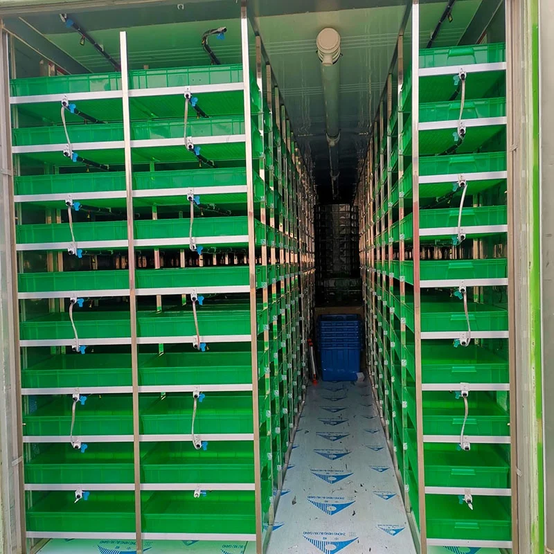 Solar Powered Hydroponic Growing System for Fodder