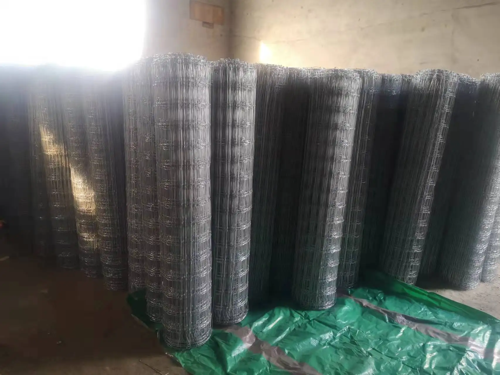 Stiff Stay Fence (25).jpg