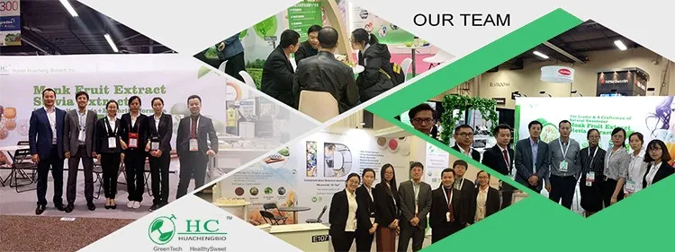 Natural Chinese Plant Extract Motherwort Herb Extract