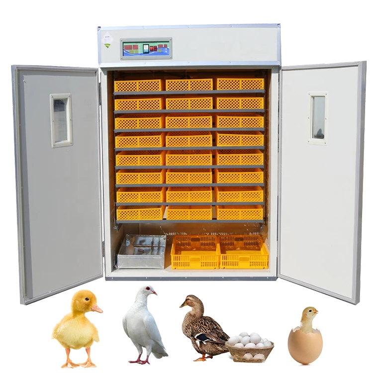 incubators hatching eggs/solar incubators hatching eggs/incubators hatching eggs nepal for sale