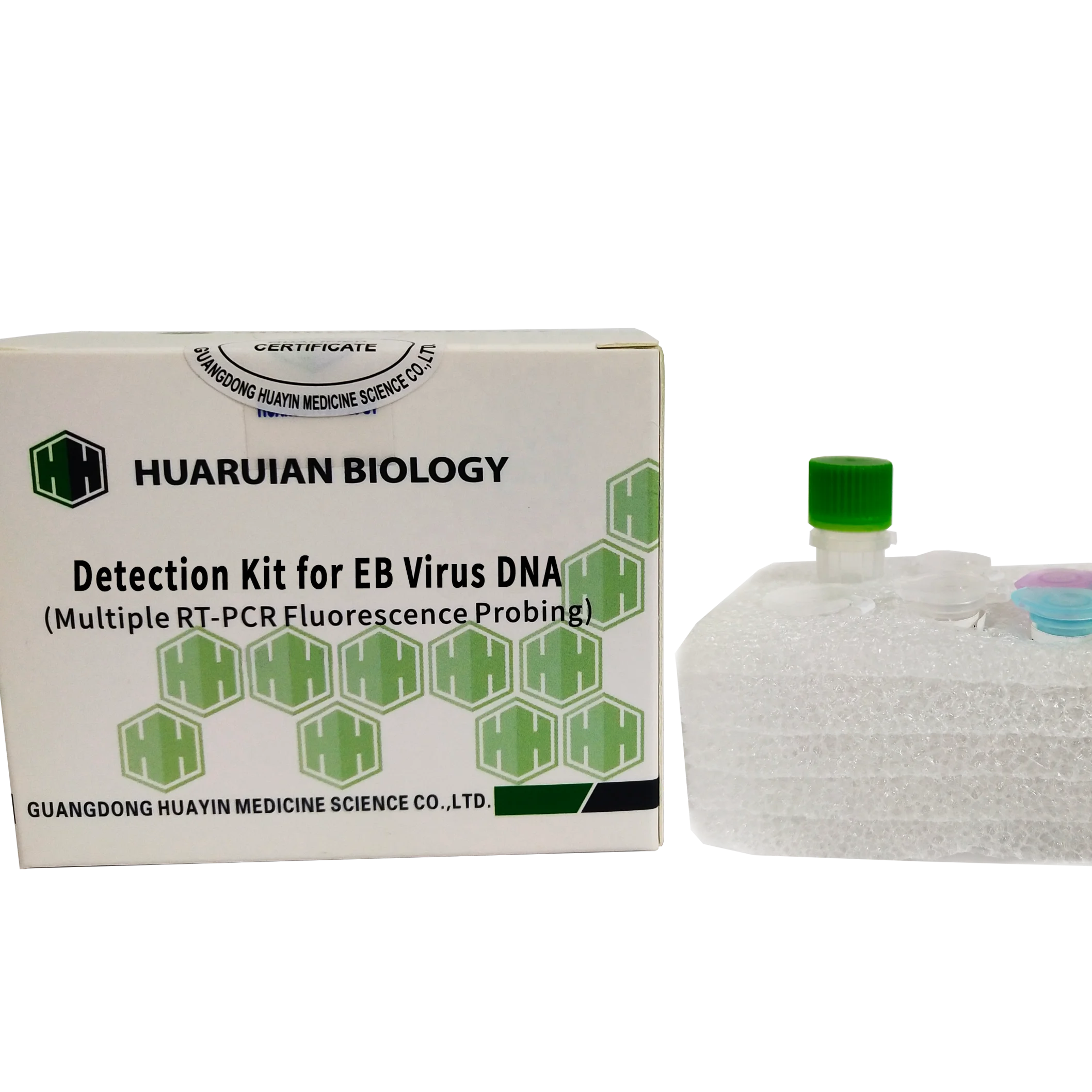 Quantitative Real-time PCR Kit for Epstein Barr EBV rapid rt pcr kit qPCR diagnostic reagent Manufacturer supply