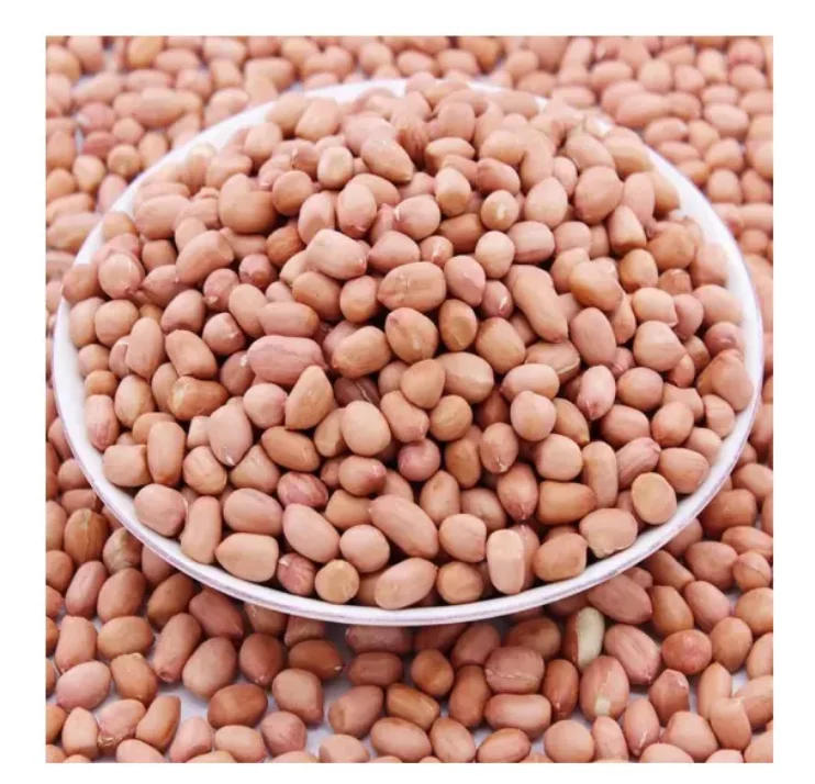 Wholesale Bulk raw pure sun dried peanuts prices high quality large and plump raw peanuts for sale