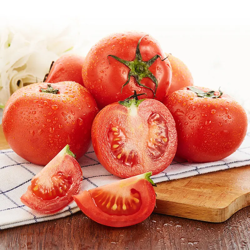 High Quality Fresh Vegetables tomatoes  From China Sweet tomatoes