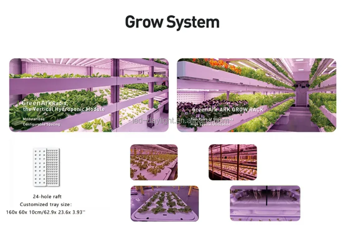 Indoor Growing Cabinet Potato Seeds  Automatic Grow Box Smart Farm System Aeroponics System
