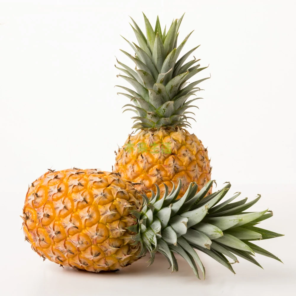 MINI FRESH PINEAPPLE Whole pineapple best price from Thailand