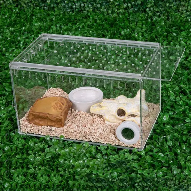 Factory Custom Plexiglass Enclosure Pet Feeding Box Acrylic Terrarium Reptile Cage