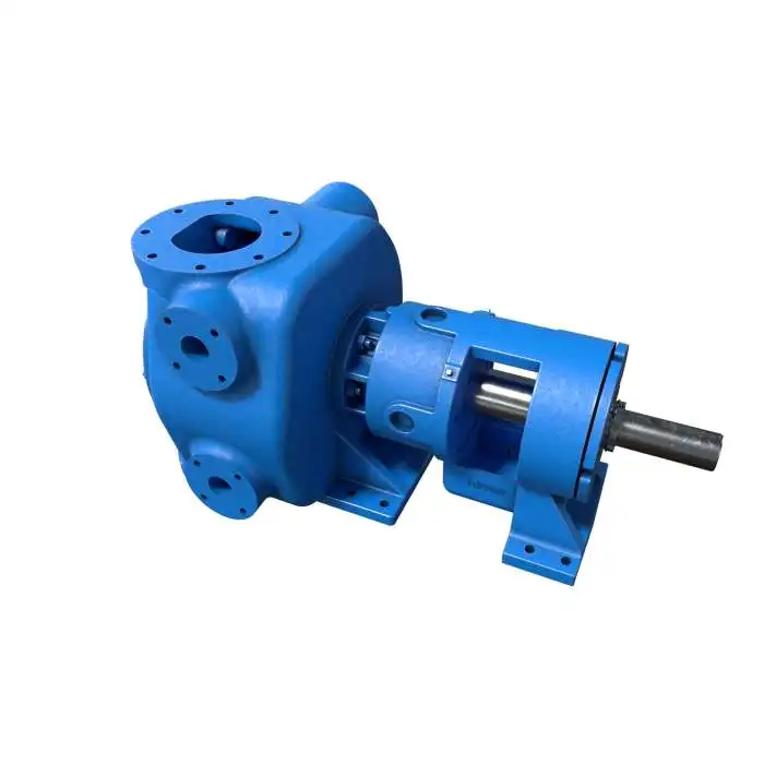 Chinese Provider Internal Rotory Chemical Hydraulic Gear Oil Pump