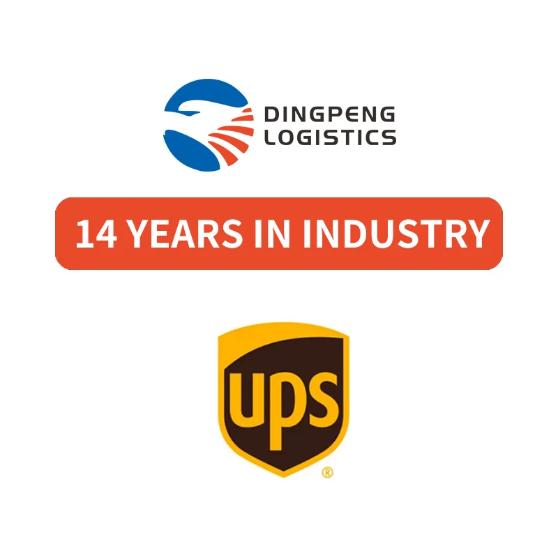 Express Company   Service from China to USA Fast by DHL fedex ups to Bangladesh/Italy/Japan/Bahrain Ups shipping agent
