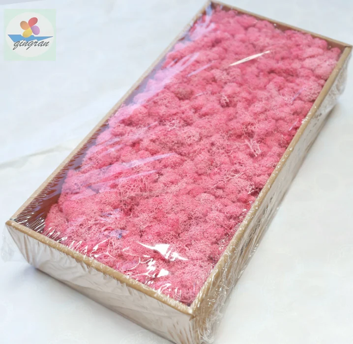 Preserved moss natural and real touch moss 200g and 500g