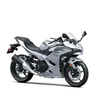 New listing 2024 Kawasaki Ninja 500 ABS Ready for shipping