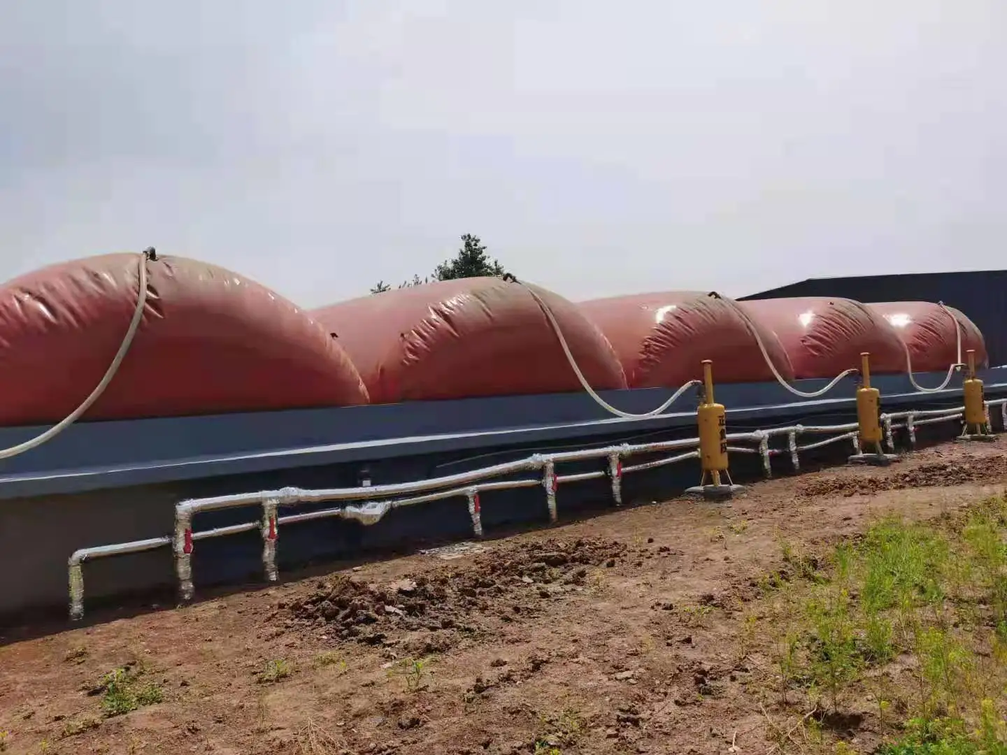 Classic Design Mini Bio Gas Septic Tank Production Soft Biogas Digester