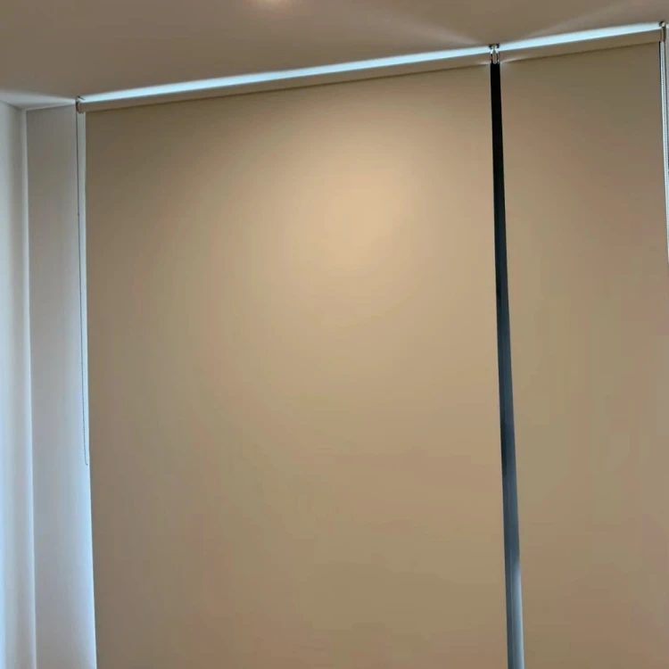 China Manufacturer Motorized Roller Blinds Home Smart Remote Control  Roller Window Blinds Automatic Intelligent Roller Curtains