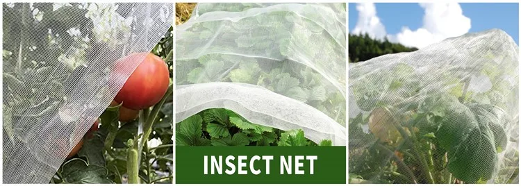 insect net application3.jpg