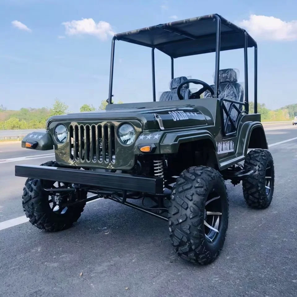 
Factory Direct Sell 2 Person 200CC Mini Jeep UTV For Adult 