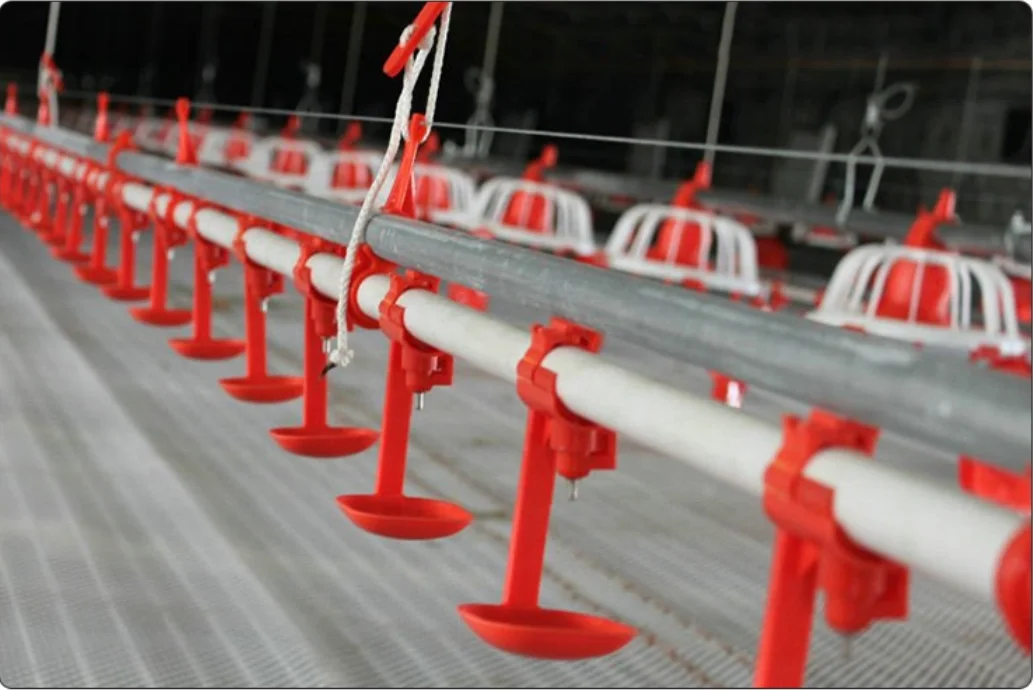 high quality low price hot sale Chicken water Cup Drinking Fountains Nipple Cup Broiler water Drinker chicken drip cup for sale