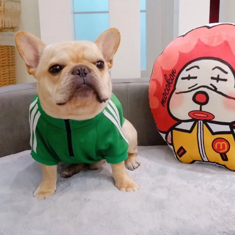 Pet Accessories New Sport Dog Coats Pet Clothing Small Dog Clothes Pet Factory OEM Wholesale Leisure Fashion Print 1pc/opp Bag