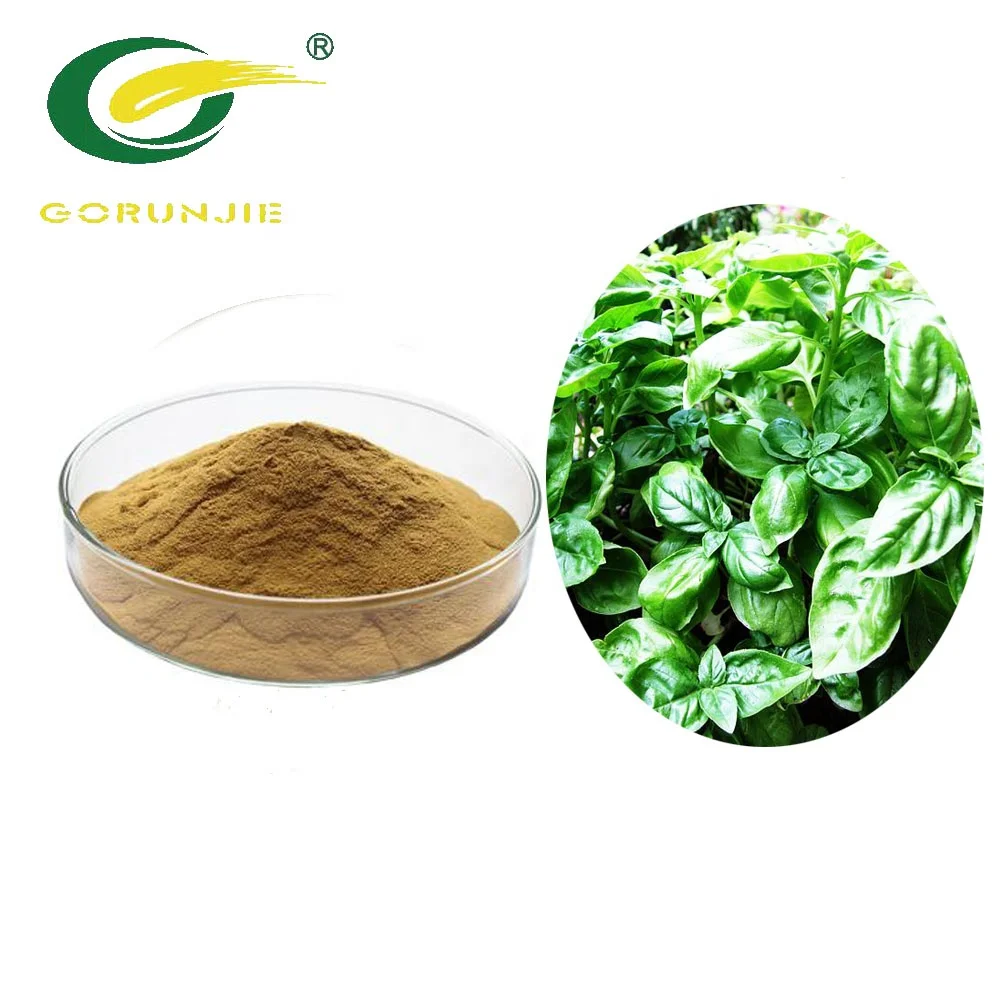 
100% Natural Ocimum Sanctum Extract 10:1 20:1 30:1 Alkaloids Powder OEM 