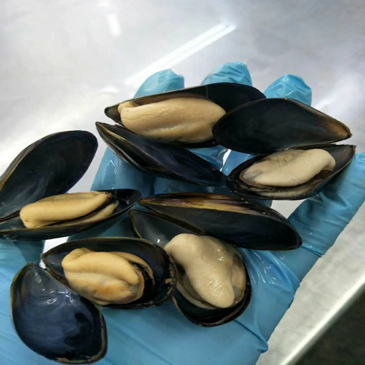 
 Голубая мишура в форме половины ракушки  