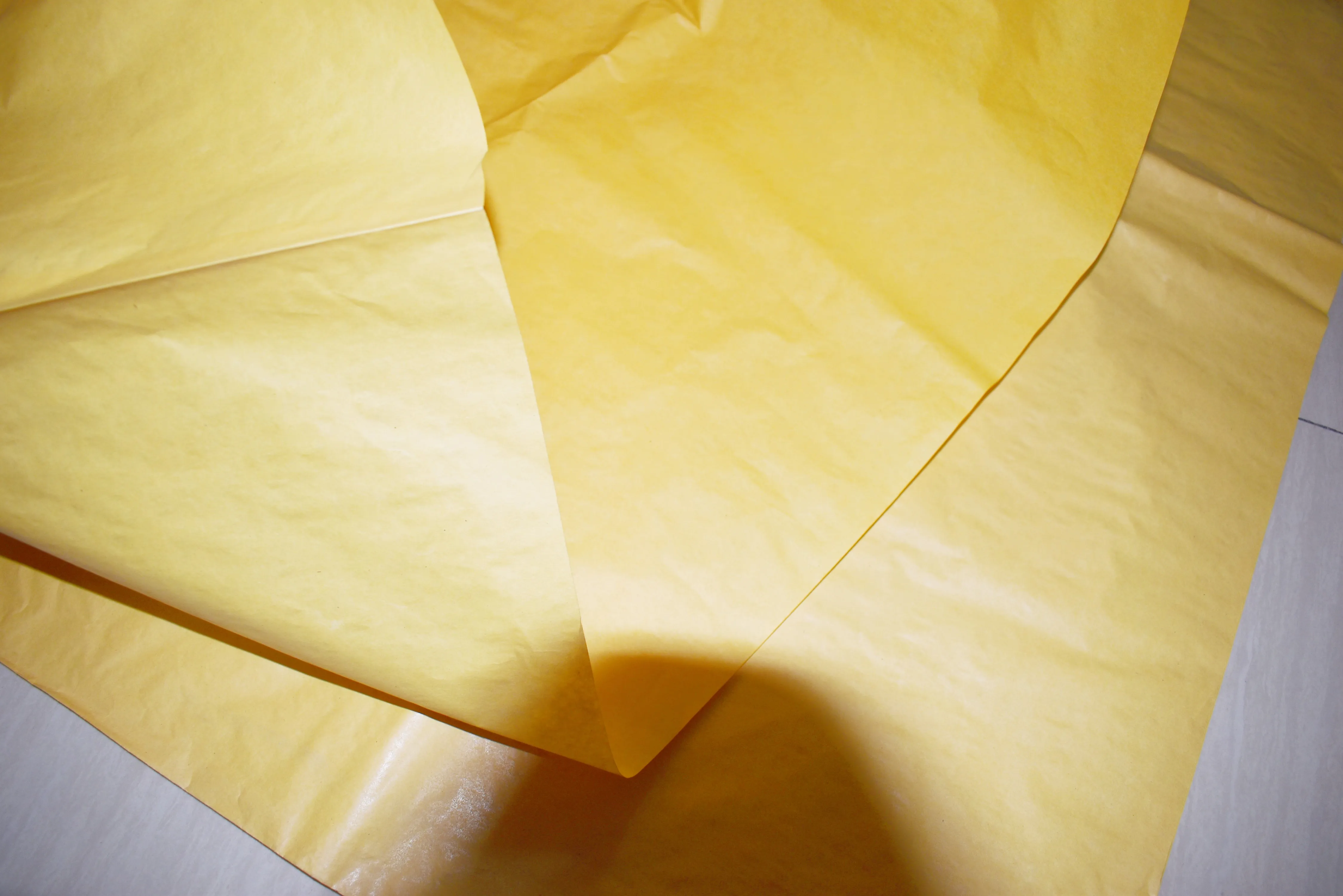 Colorful Fruit Protection Bags To Protect Fruit On Trees