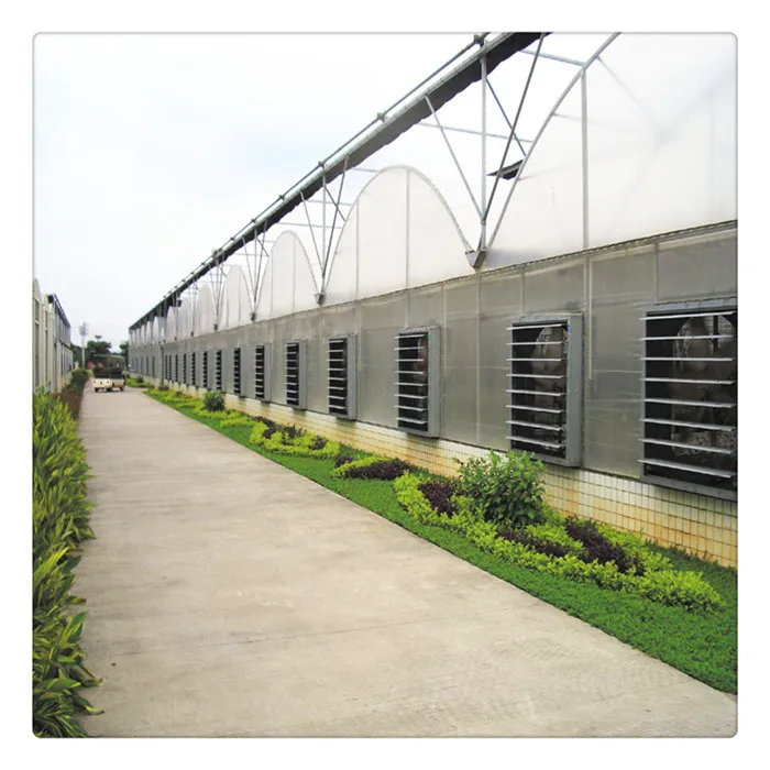  Cheap Price Shading System Plastic Shed Steel Frame Tomato Green House for