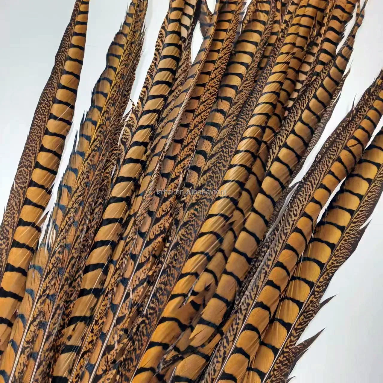 Wholesale dyed colorful long pheasant feathers natural reeves pheasant feathers for carnival decoration