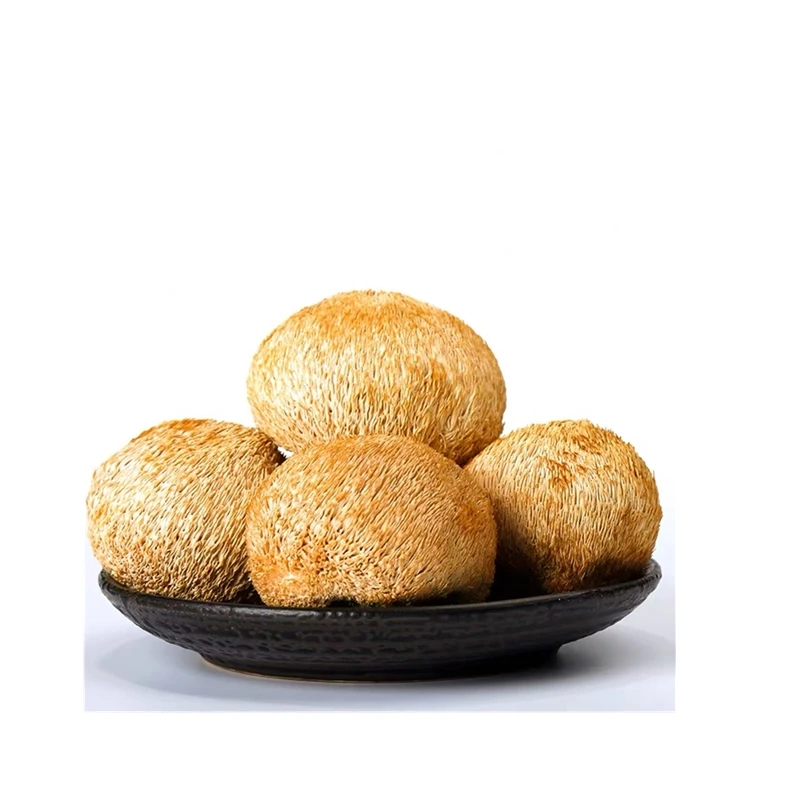 Сушеный на воздухе гриб льва и сушеный гриб травы