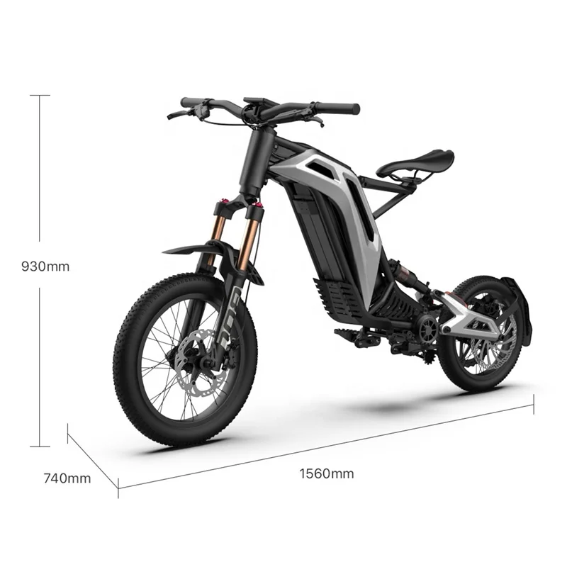 LEWEE Factory Direct Price 750W 48V Electric Bicycle E-Bike Central Motor Sport Electric Motorcycle Foldable Fat Tire E-Bike