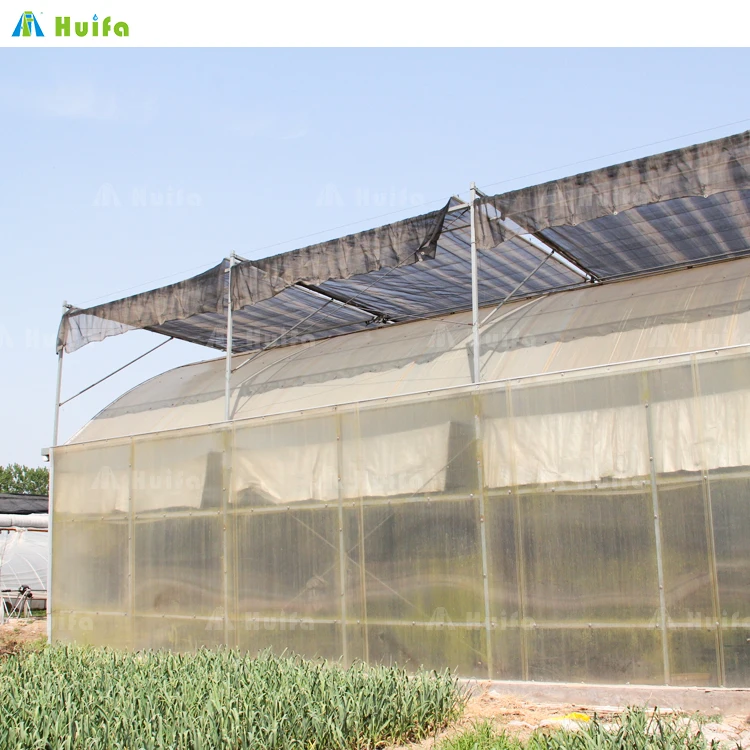 Hydroponic Growing Systems Greenhouse Fertigation System Agricultural Greenhouse Morocco