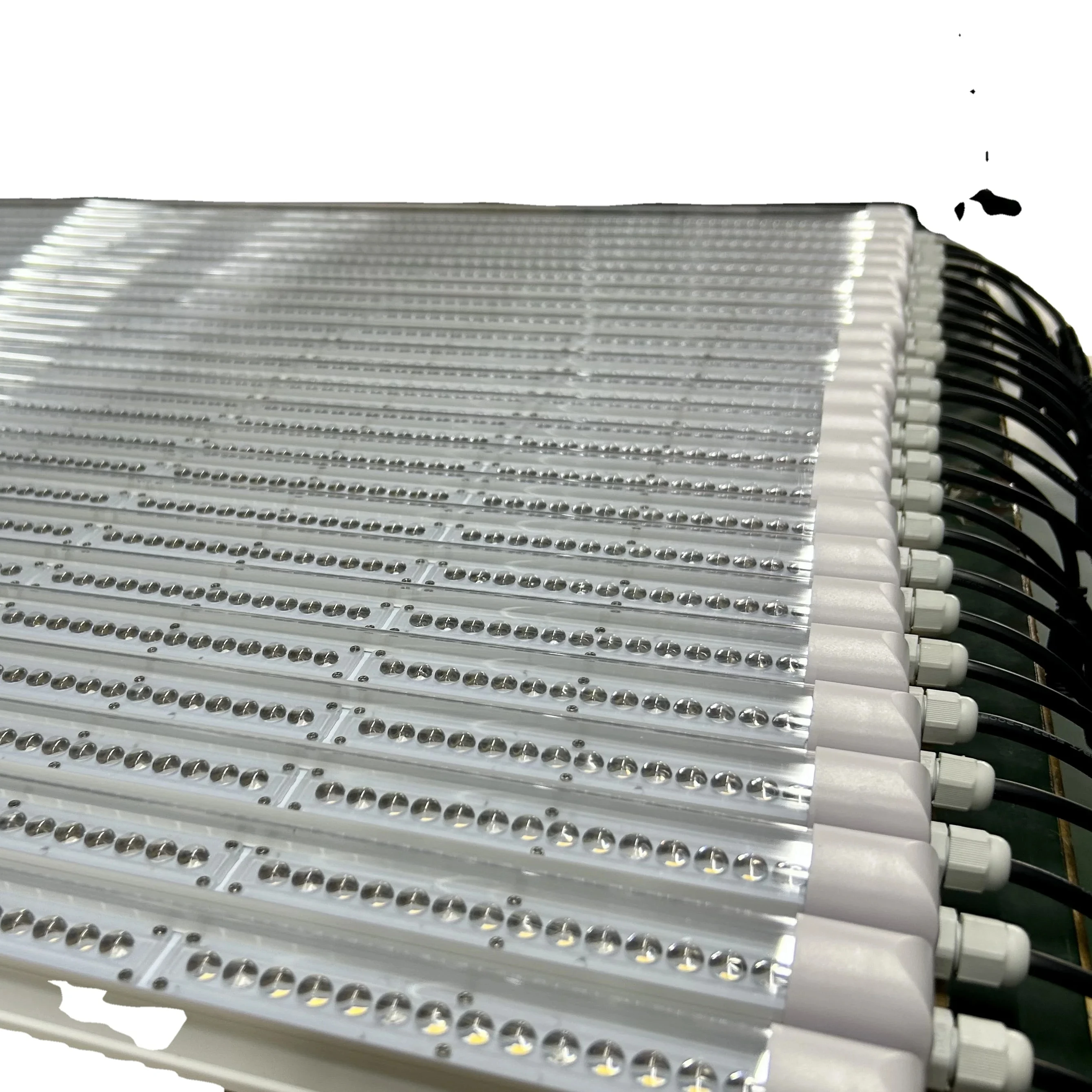 Chinese Manufacturer Wholesale T8 Greenhouse Supplemental Lighting