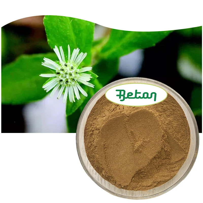 High Quality Eclipta Prostrata Extract Powder False Daisy Extract Bhringraj Extract