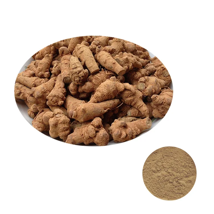 Widely Used Superior Quality Wholesale Herb in Other Plant Extract Yunnan Sanqi Root