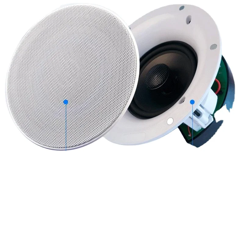 In Ceiling Speaker 10watt Full Set 50 Watts 10 Inches Monitor Powered 40W Sound System Big 8inch Speaker