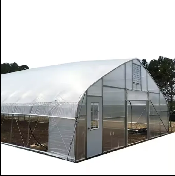 Single Span Greenhouse Galvanized Steel Frame Agricultural Plastic Film Cultivation Greenhouse with Ventilation System