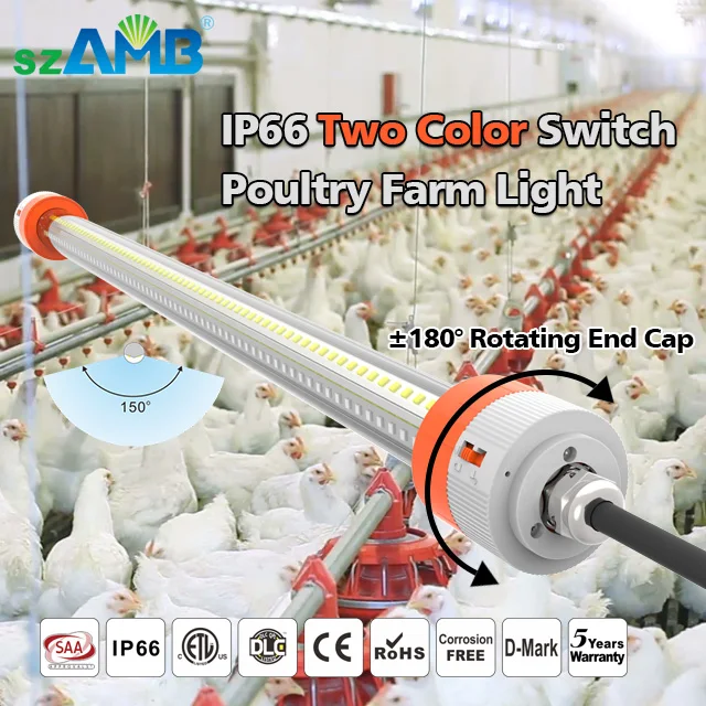 IP66 Waterpoof Dimming Livestock Light Or poultry Farm LED Tube Lighting With 5 Years warranty