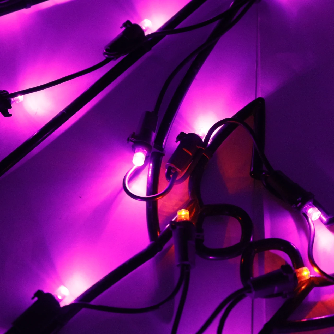 Bat modelling light purple leds black wire for Halloween Decoration