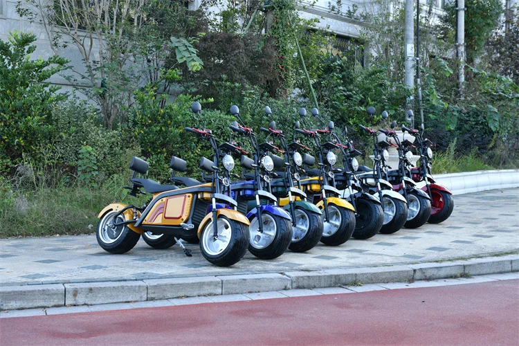 ZXT_2222_.jpg