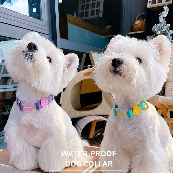 2023 pet supplies High Quality Anti-Mold Waterproof PVC Vinyl Coated Polyester Webbing Hunting Dog Accessories PVC Collar