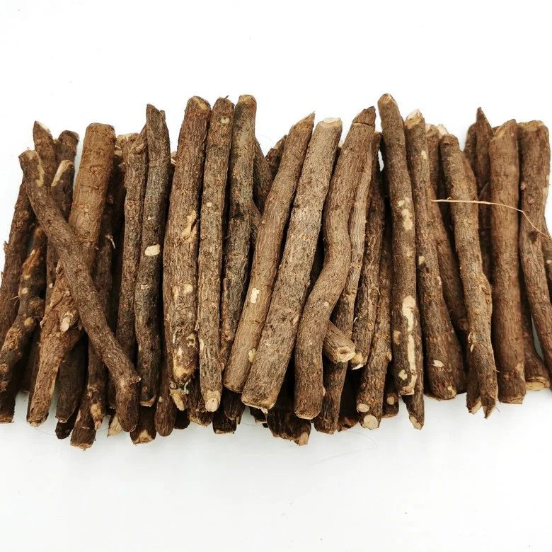 Свежие корни paulownia tomentosa paulownia с сертификатом