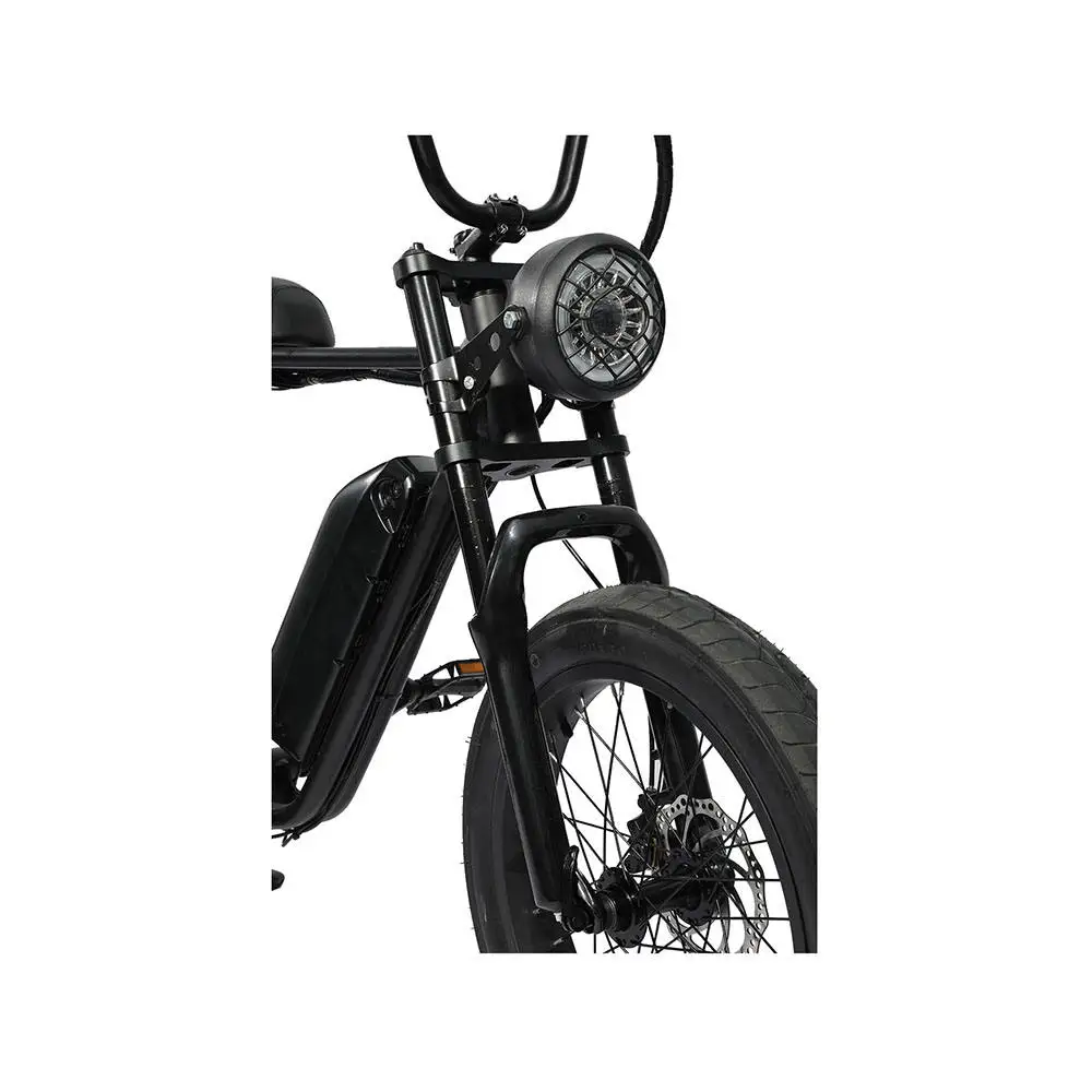 Hot Selling Quick Shipping Electric Bicycle Ebike 48V 1000W  20inch Electric Fat Tire Mountain Bike