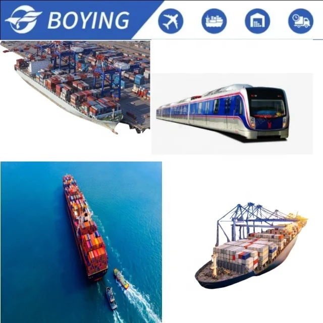 Sea Freight Forwarder Shipping Rates Shipment From China Shenzhen to San Francisco/Miami