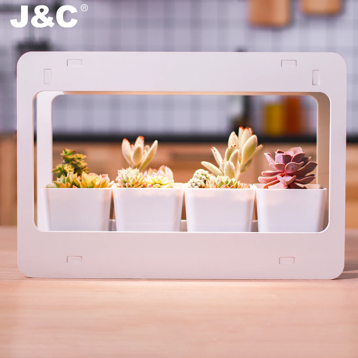 J&C Full Spectrum Mini Garden Indoor Herb Garden Kit 8H On/16H Off Smart Indoor Garden For Herb Succulents Small Plants