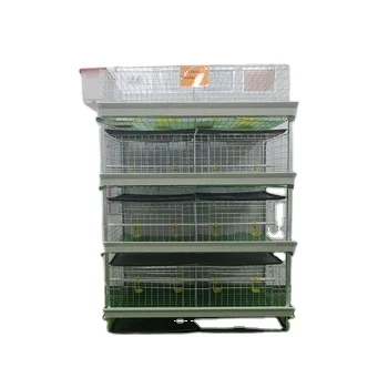 Designed the galvanized H-type Broilder cage for Kenya used for poultry chicken farm