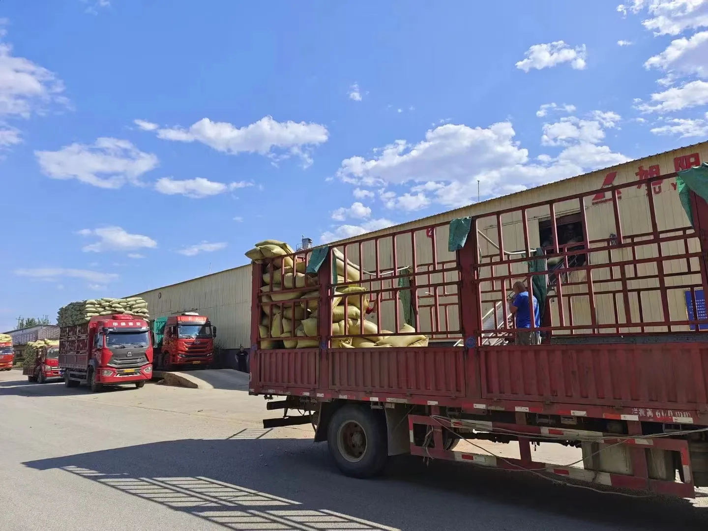 Colored mica crushed flakes for resin painting arts for oil drilling color mica sheets