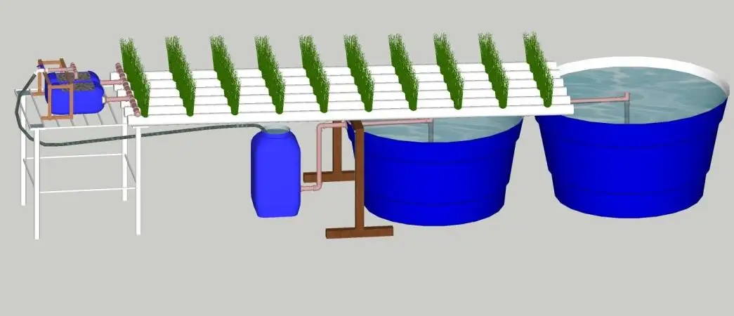 Commercial aquaponics system for fish and plant grow together soilless culture
