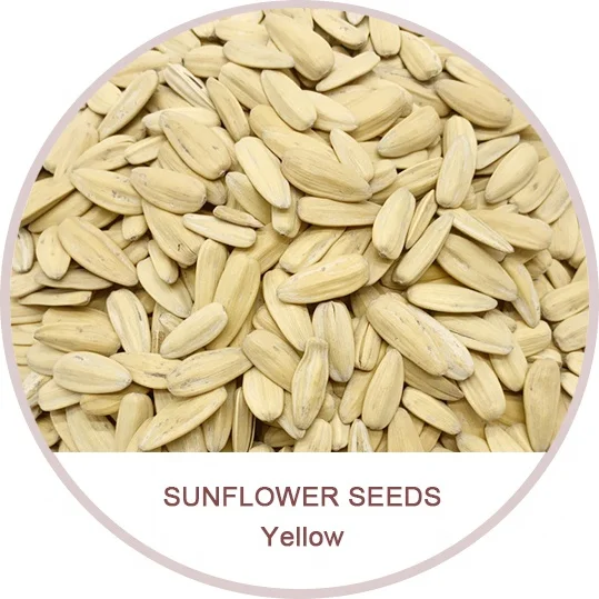 
Factory Export 361/363 Yellow Sunflower Seeds Snacks 
